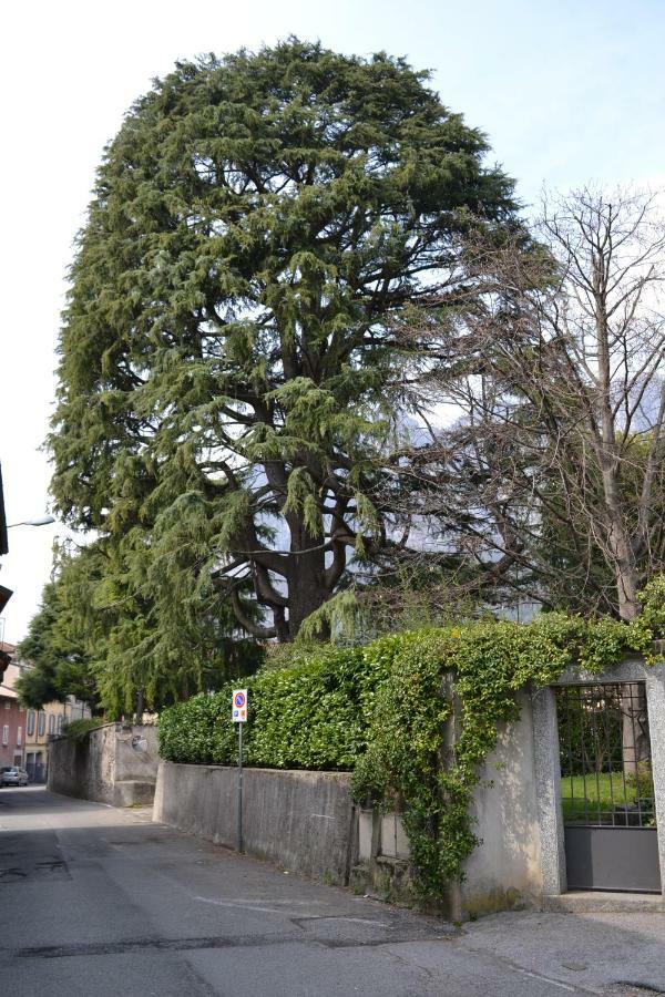 Casa Del Cedro - Cedar House Villa Lecco Dış mekan fotoğraf